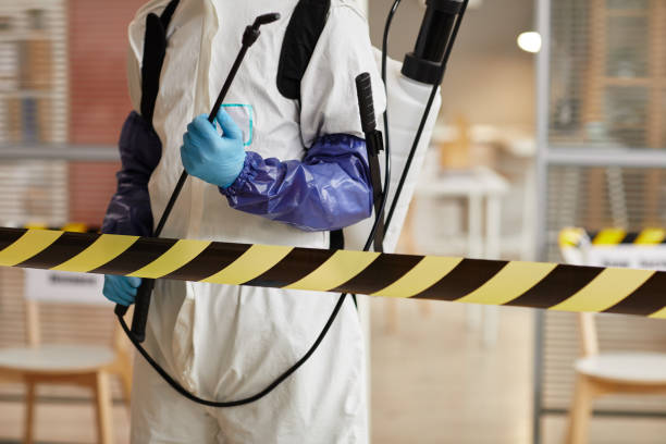 Professional Sewage Cleanup technician working in Irvington, NJ